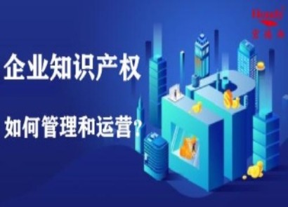 怎么按企業(yè)知識產(chǎn)權(quán)管理規(guī)范管理企業(yè)知識產(chǎn)權(quán)？